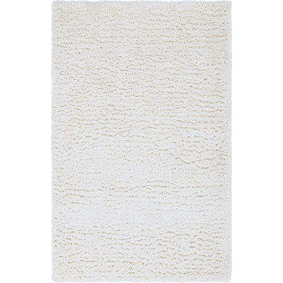 Indoor Rug