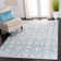 Winnols Performance Geometric Rug