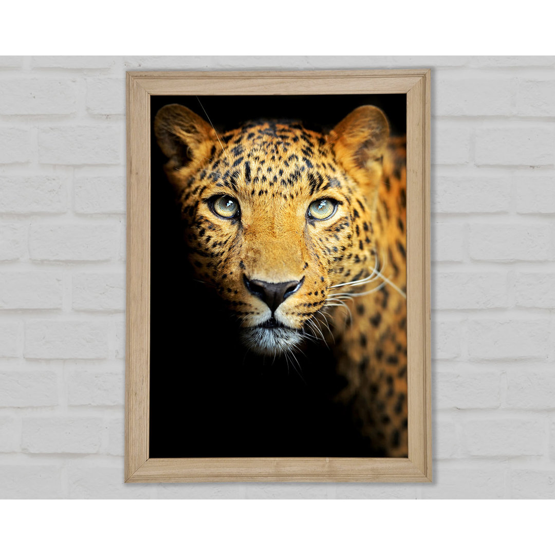 Leopard Beauty - Einzelner Bilderrahmen Kunstdrucke