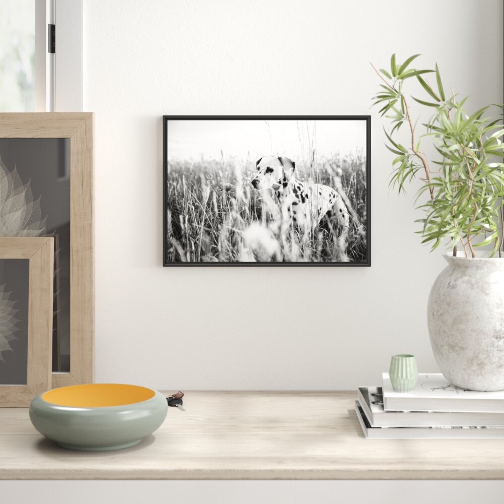 Gerahmtes Wandbild Neugieriger HundFeld Kunst B&W