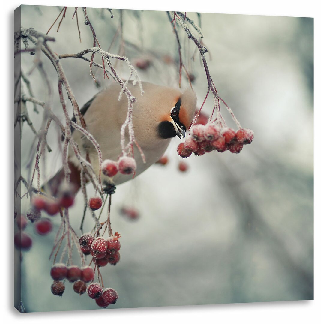 Leinwandbild Kleiner Vogel im Vogelbeerbaum