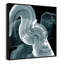 «Swirl II Print» par Casa Fine Arts-99322389-99322388