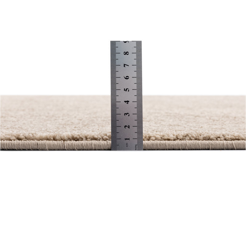 Paola Solid Colour Area Rug, Rectangle 67 x 120cm