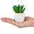3.25'' Faux Succulent Plant in Ceramic Planter