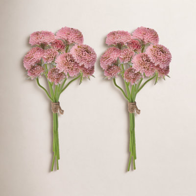 Scabiosa Floral Stems