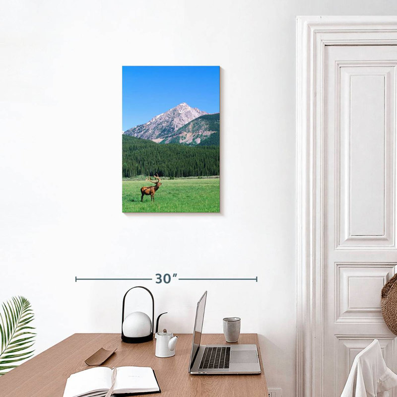 Brampt Coyote Valley Elk, 24" H x 16" W