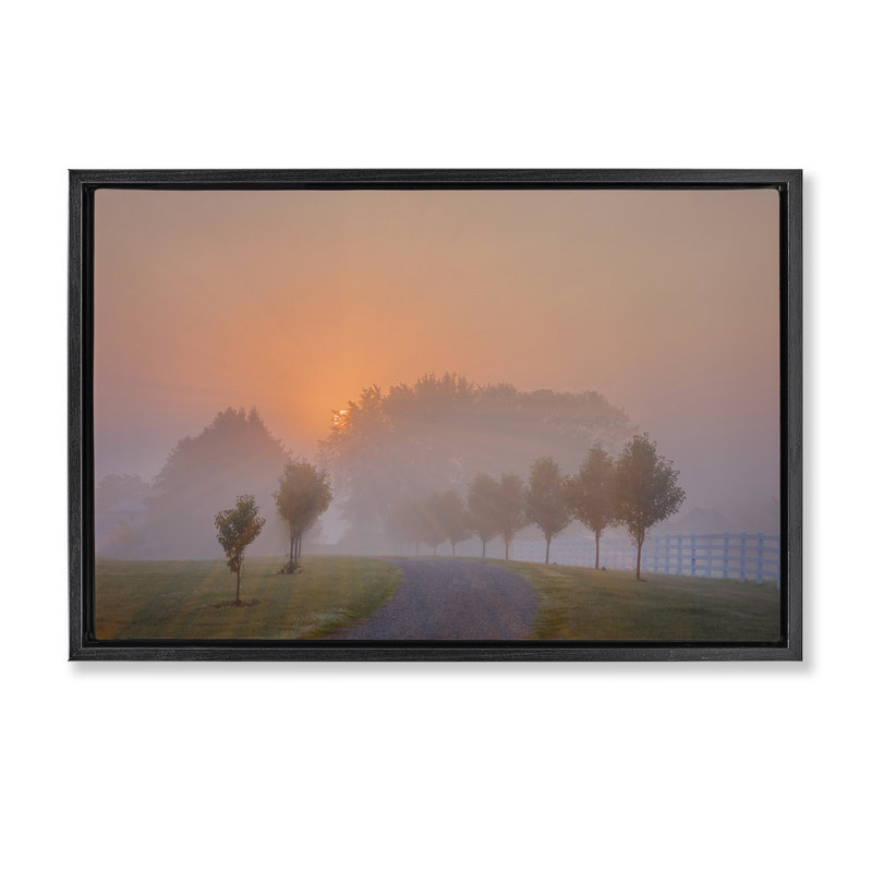«Grove Path at Sunset Floater» par Marty Hulsebos, Cadre flottant noir de jais, H 17 po x l 25 po