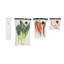 Zwilling Vacuum Sealer Bag