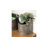 Reilly Metal Wall Planter