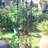 Dworman 10cm W Metal Lattice Panel