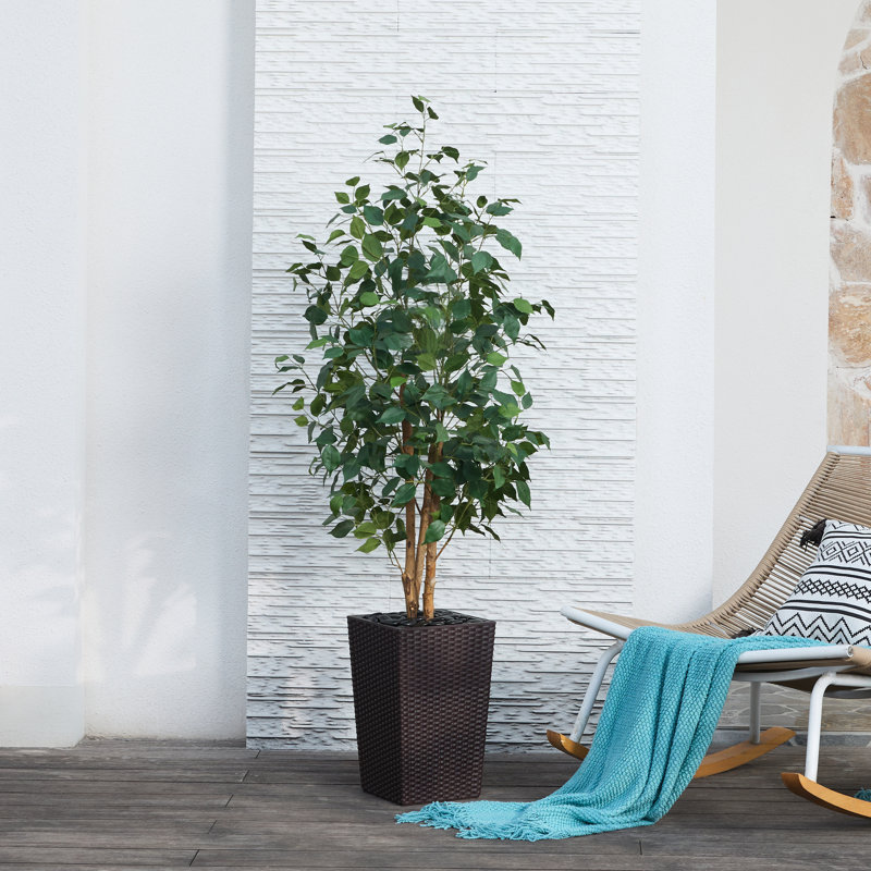 Adcock UV Protected Artificial Ficus Tree with Decorative Base, Faux Ficus Plant with Natural Trunk, 60" H x 20" W x 20" D