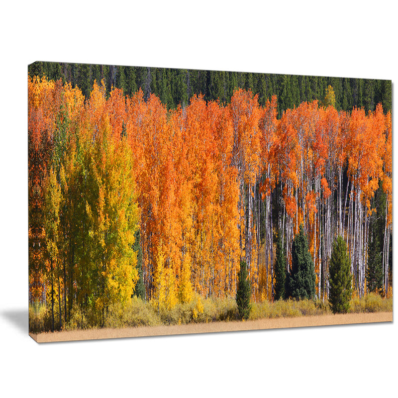 «Fall Trees Panorama», reproduction de photo sur toile tendue, H 8 po x l 12 po x P 1 po
