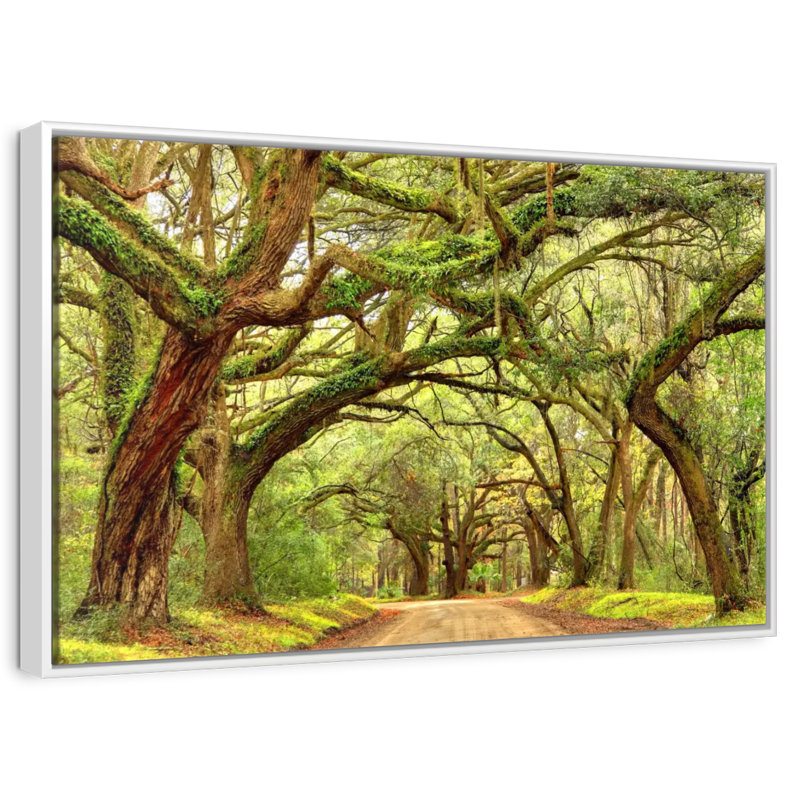 Charleston Oak Forest, Cadre flottant blanc, 13 po x 9 po