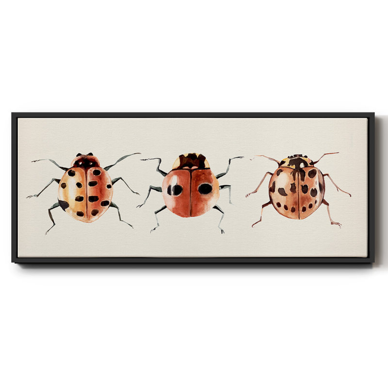 Coccinelle, H 8 po x l 20 po