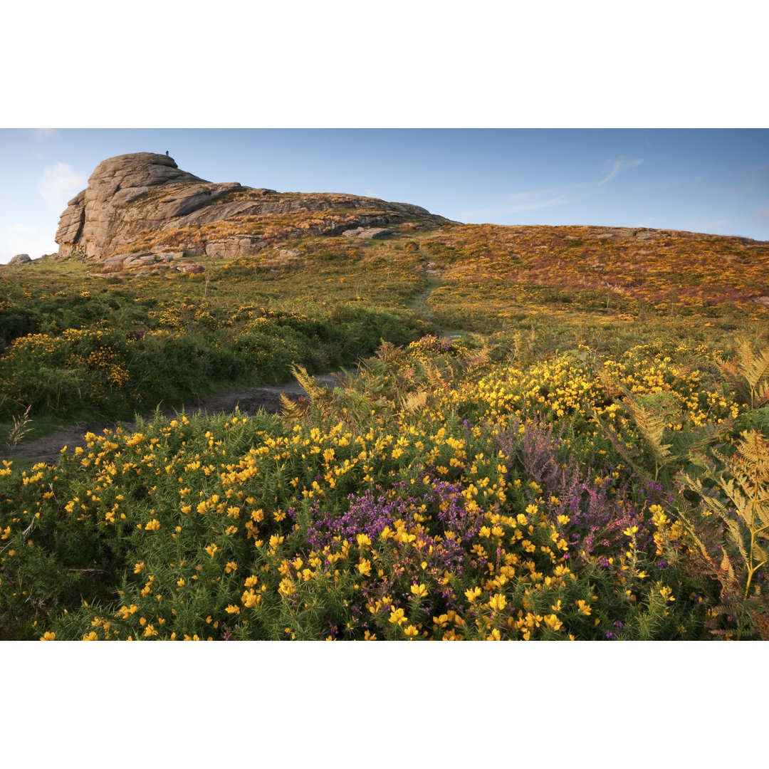 Haytor on Dartmoor von Moorefam - Kunstdrucke auf Leinwand