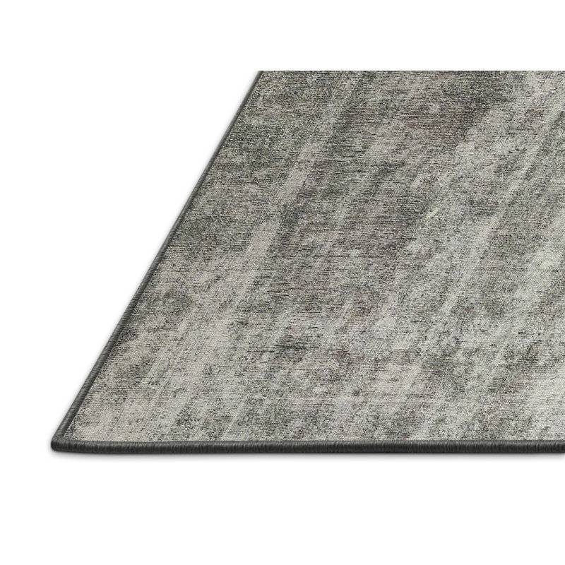Deemer Indoor Rug, Rectangle 2' x 3'