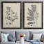 «Antique Black and White Botanical IV», ensemble de 2 reproductions d'art sur toile-1516307832-1516307836