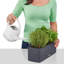 Window Box Planter-26992013