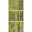 «Vibrant Green Birch Forest», 3 pièces-100135967-100135966