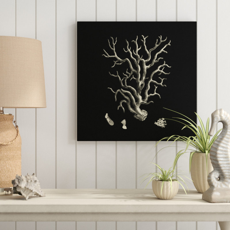 Black And Tan Coral I by Vision Studio - Wrapped Canvas Print, 51cm H x 51cm W