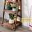 Ladder Bookcase-774812020