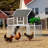 Exael Steel Frame Chicken Coop with Raised Bed Planter-974774695
