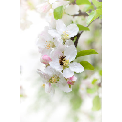 Bee 1 Piece Wrapped Canvas Wall Art