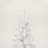 Slim Artificial Christmas Tree-1415695553