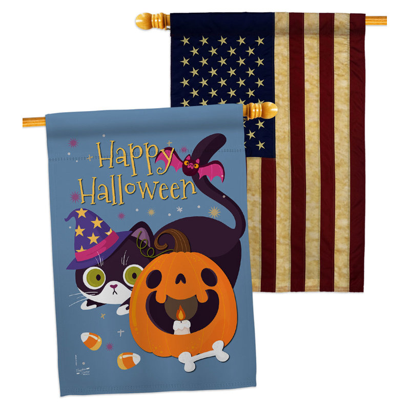 Drapeau de maison 40 po x 28 po Witchy Cat