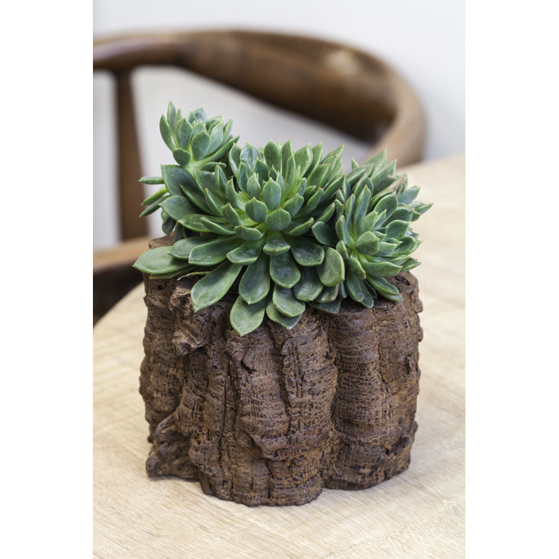 Branch Handmade Planter, Pietra Vecchia