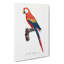 Ara Canga Parrot by F. Levaillant - Wrapped Canvas Painting Pint - Wrapped Canvas-55367849