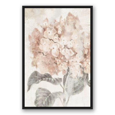 " Closeup Hydrangea "