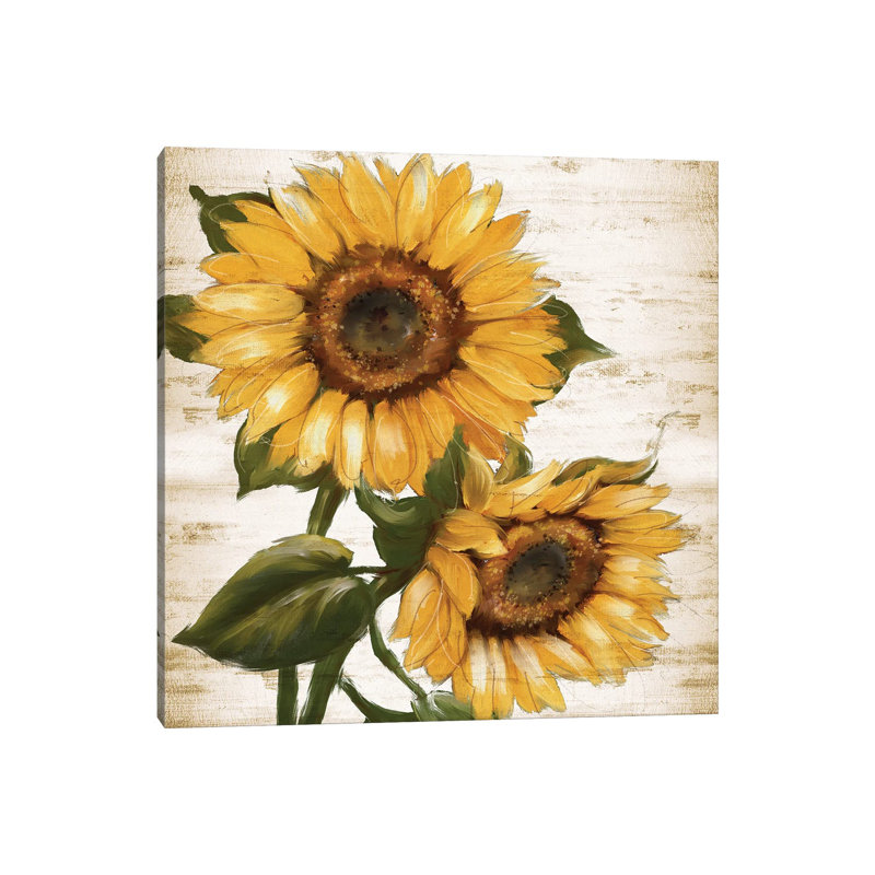 Sunflower Summer II by Conrad Knutsen - Wrapped Canvas Gallery-Wrapped Canvas Giclée, 30.48 cm H x 30.48 cm W