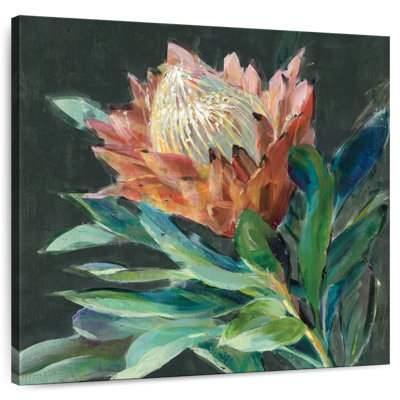 Protea profond