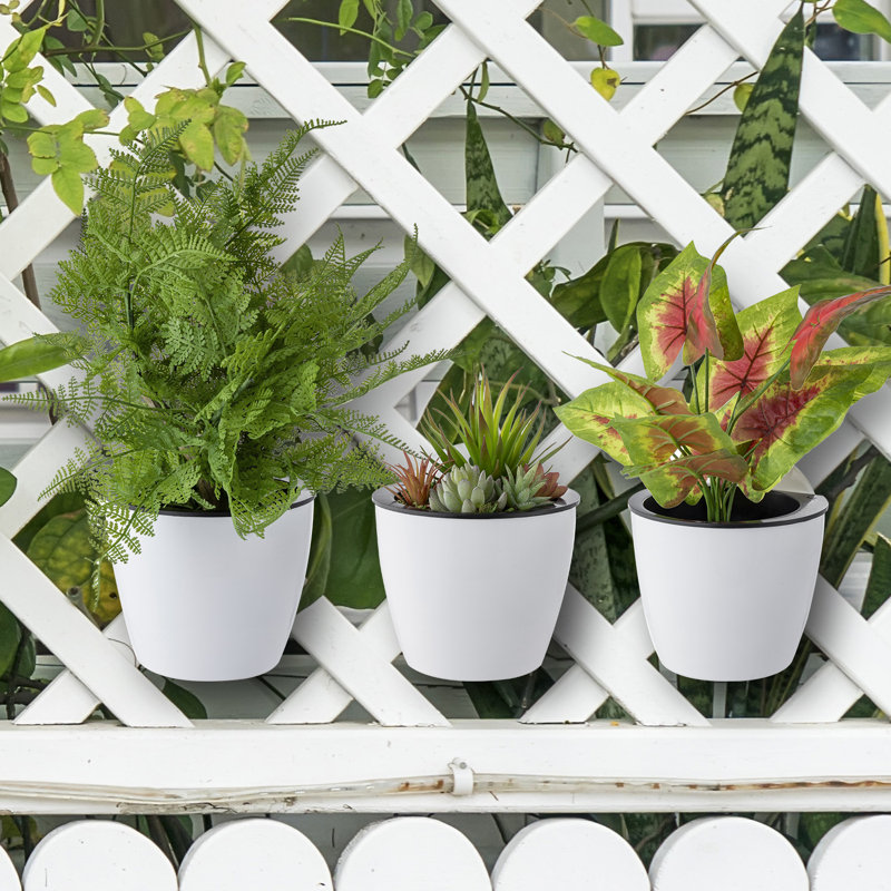 Self-Watering Wall Planter