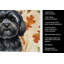 Serviette de cuisine tricolore Sheltie-2083472024