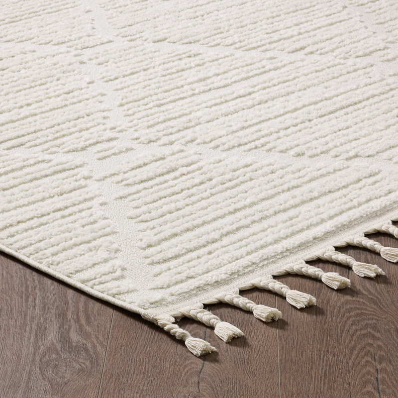 Tapis à poils longs Ruprecht, Rectangle 5 pi 7 po x 7 pi 3 po