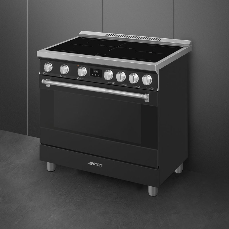 Cuisinière à induction 36 po Professional, Anthracite, Induction