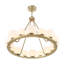 16 - Light Chandelier-745345508