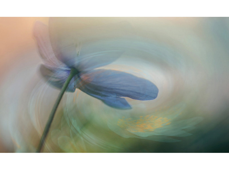 Wrapped Canvas Print, 60.96cm H x 91.44cm W