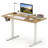 48” x 24” Electric Standing Desk with LED Display 2 Memory Height Settings for Home Natural+White-2042360884