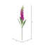 Fuchsia Stem-94734850