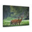 No Frame Print on Canvas