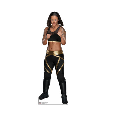 67'' WWE Cardboard Standup