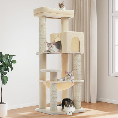 Arbre à chat