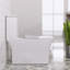 Rectangular/Square Seat One-Piece Toilet, 1.28 GPF Dual-Flush Elongated Floor Mounted