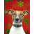 Jack Russell terrier (brun et blanc) sélectionné