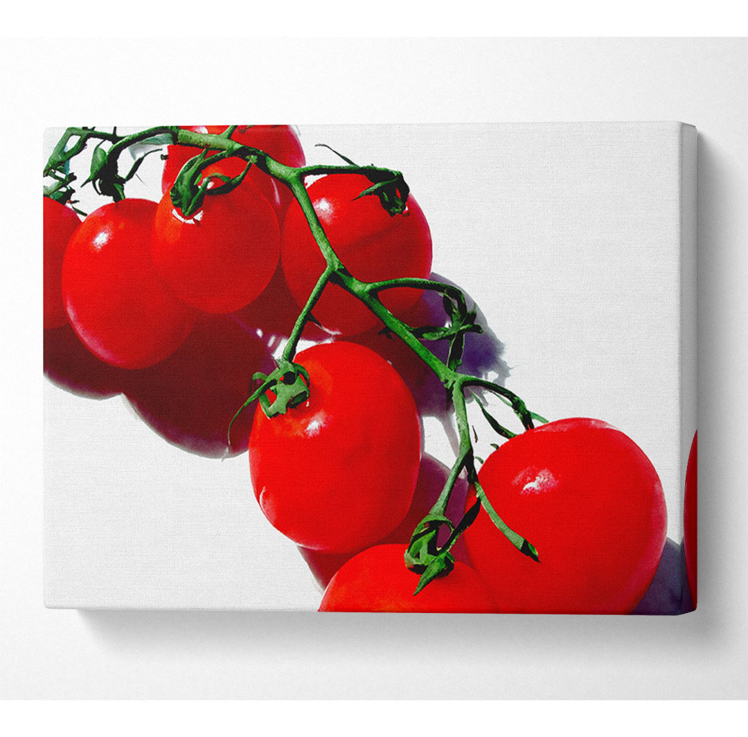 Rote Kirschtomaten Rebe - Drucken