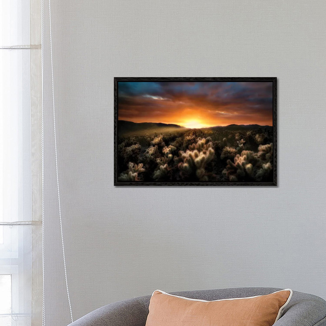 Cholla Sunrise von Dennis Frates - Giclée auf Leinwand