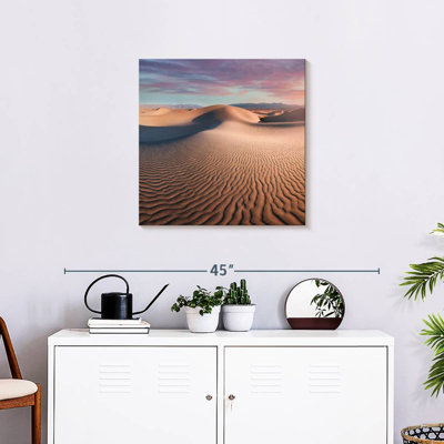 Alvord Mesquite Flat Dunes